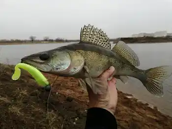 6 best sales Esfishing rockvibe - №3