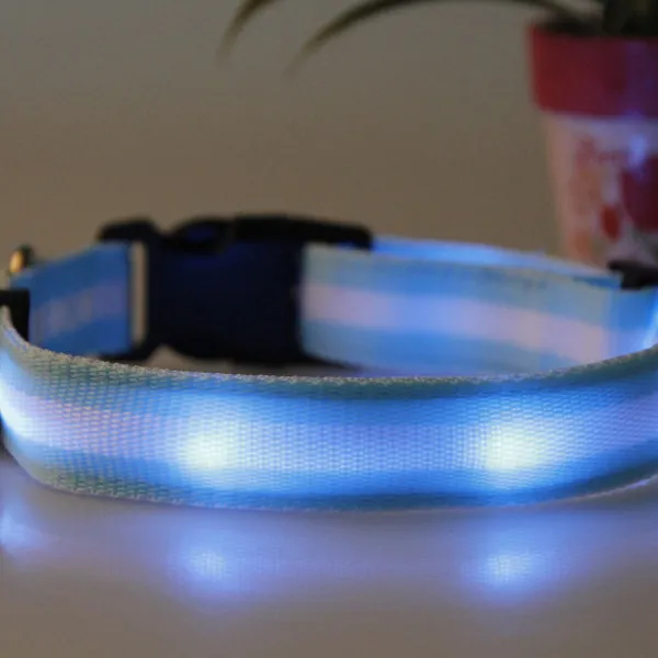 Blue LED Night Dog Collar Adjustable Nylon Safety Flashing Light 33-55Cm 6 Leds Steady Flash for Evening Walks Outdoor
