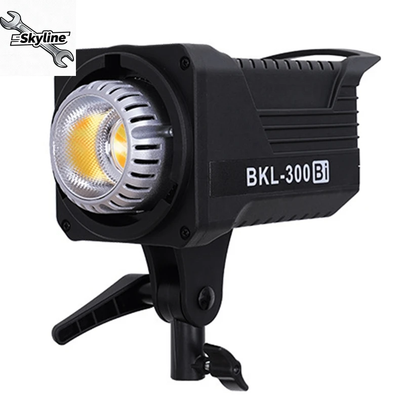 

300W Bi LED Video Light, Continuous LED Lighting With 2.4G Wireless Remote For Portrait, Outdoor Photographic