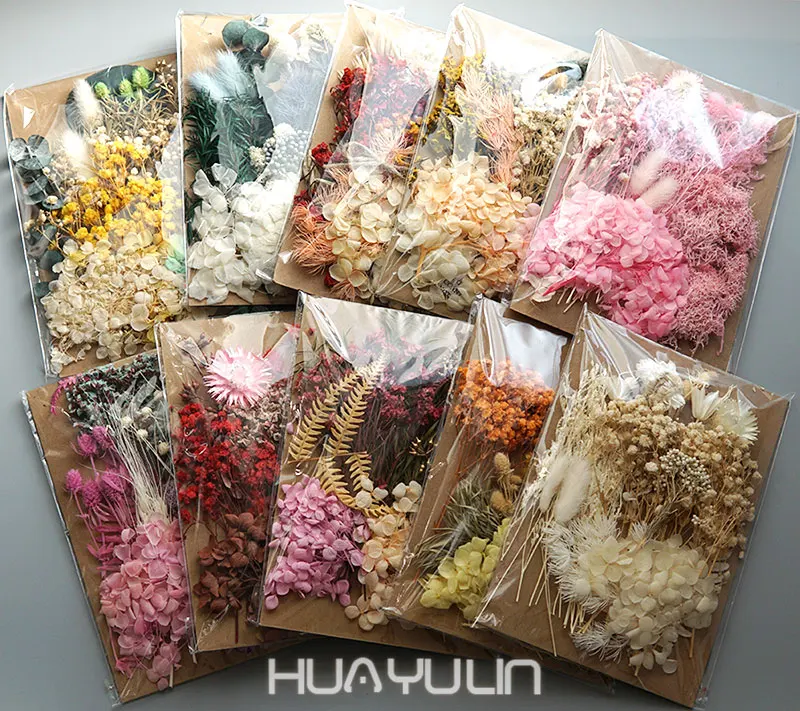 1 Pack Natural Dried Pressed Flowers For Handmade Home Decoration Crafts wers Leaves Bulk For DIY Candles Epoxy Resin