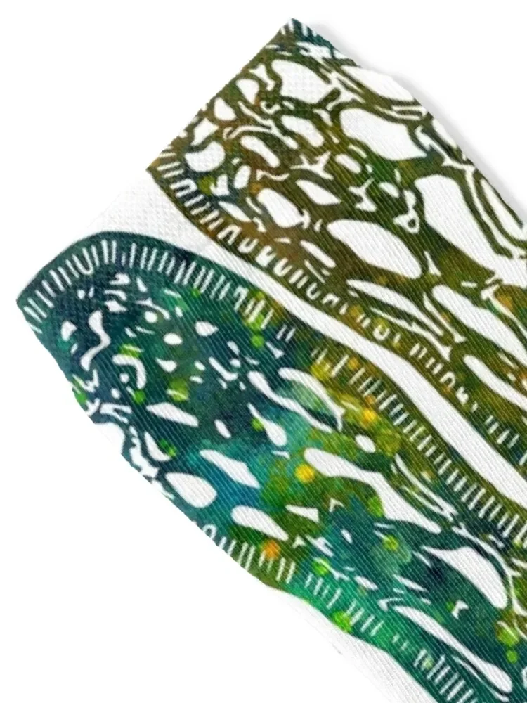 Intestinal Villi Anatomy Socks Children's luxury with print set Mens Socks Women's