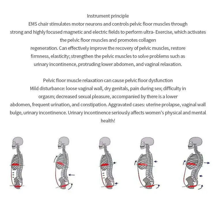 Nova chegada estimulação muscular do assoalho pélvico para mulheres reparação de incontinência ems cadeira do assoalho pélvico