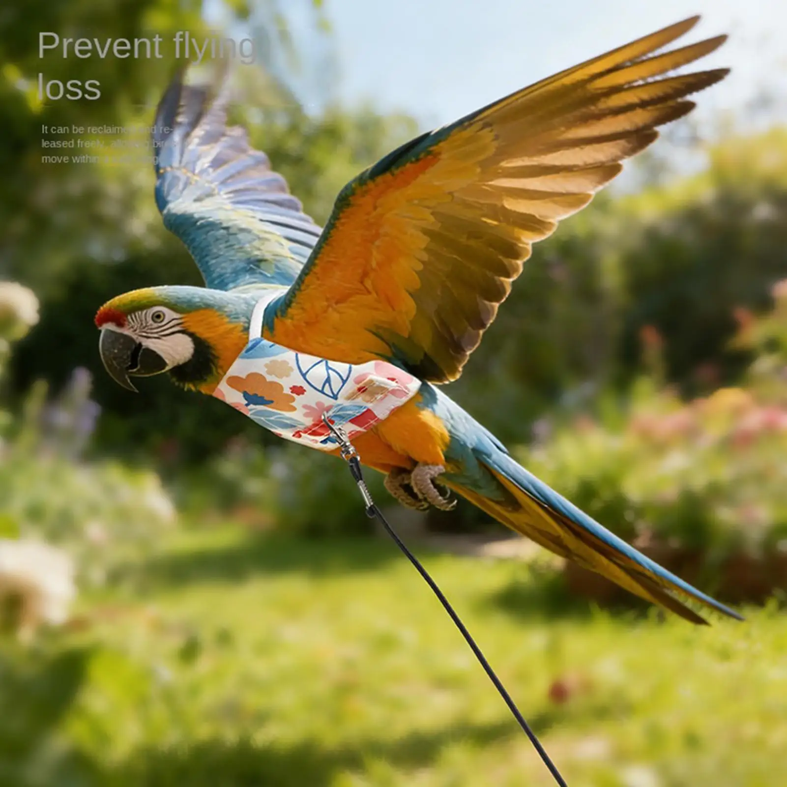 Adjustable Bird Harness & Leashes Set Escape-Proof Flight Suit For Parakeet Cockatiel Conures, Safe Outdoor Training Gear