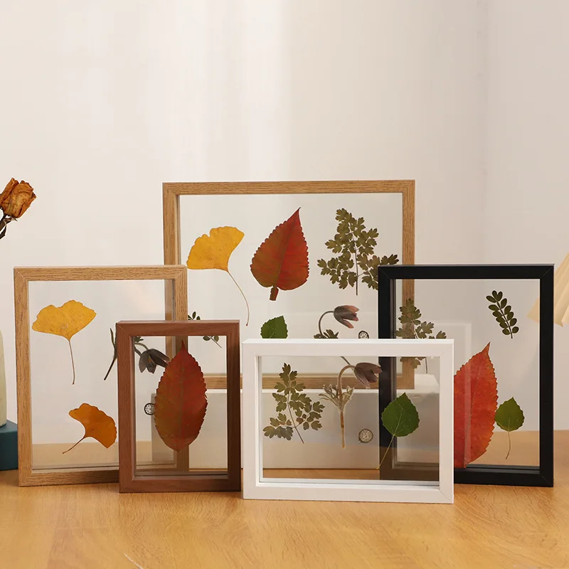 Double-Sided Transparent Wooden Frame Specimen Display Frame Minimalist Wood Photo Stand for Home Décor and Collectibles