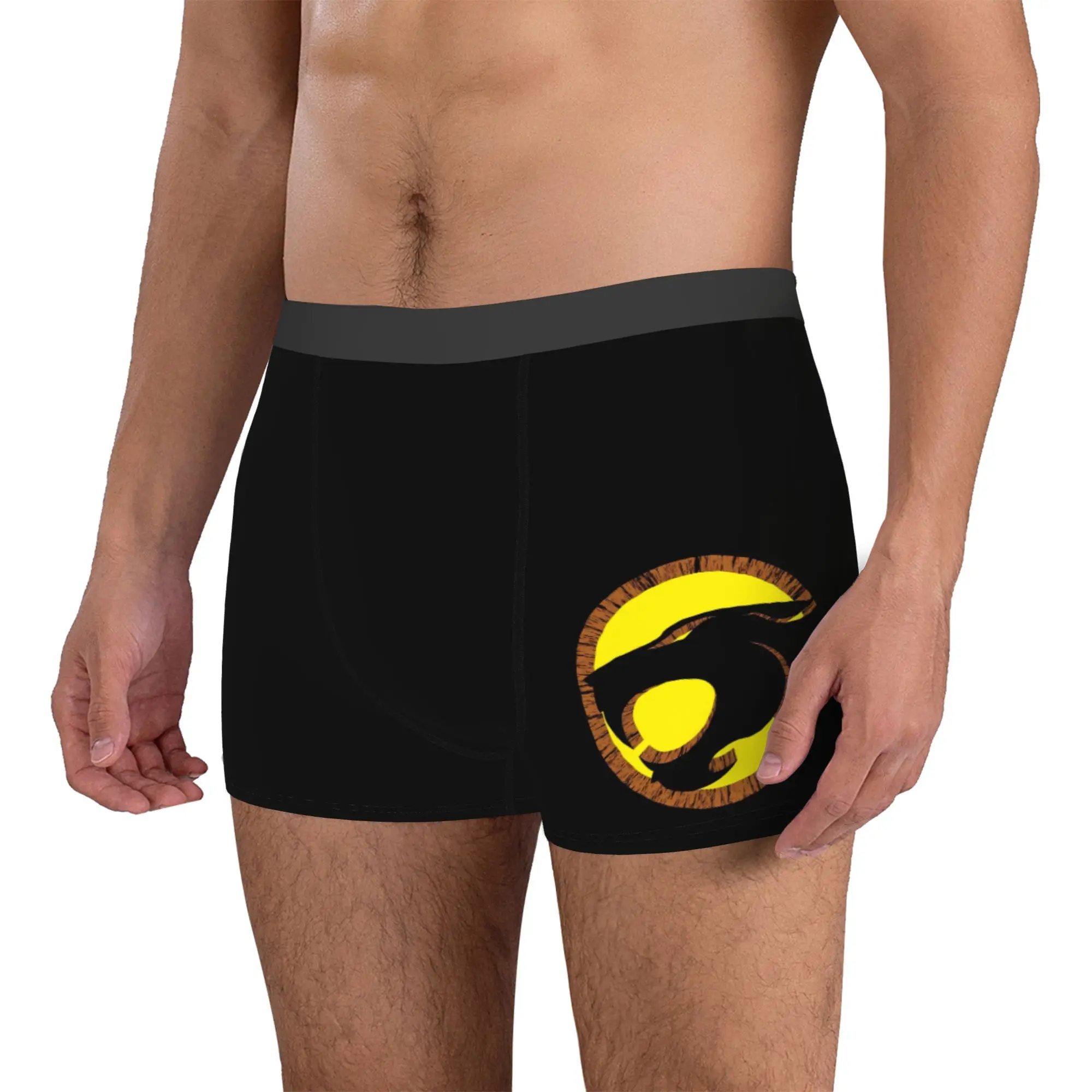 Custom Male Funny Anime Thundercats Logo  Underwear Cartoon  Boxer Briefs Soft Shorts Panties Underpants