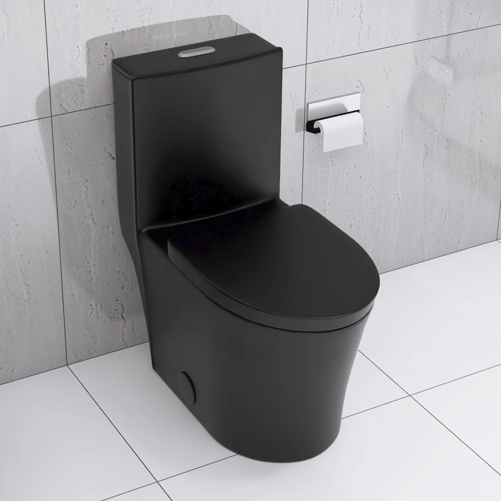 

Matte Black Elongated One Piece Toilet Dual Flush 1.1/1.6 GPF Water Saving Map 1000g,Matte Black