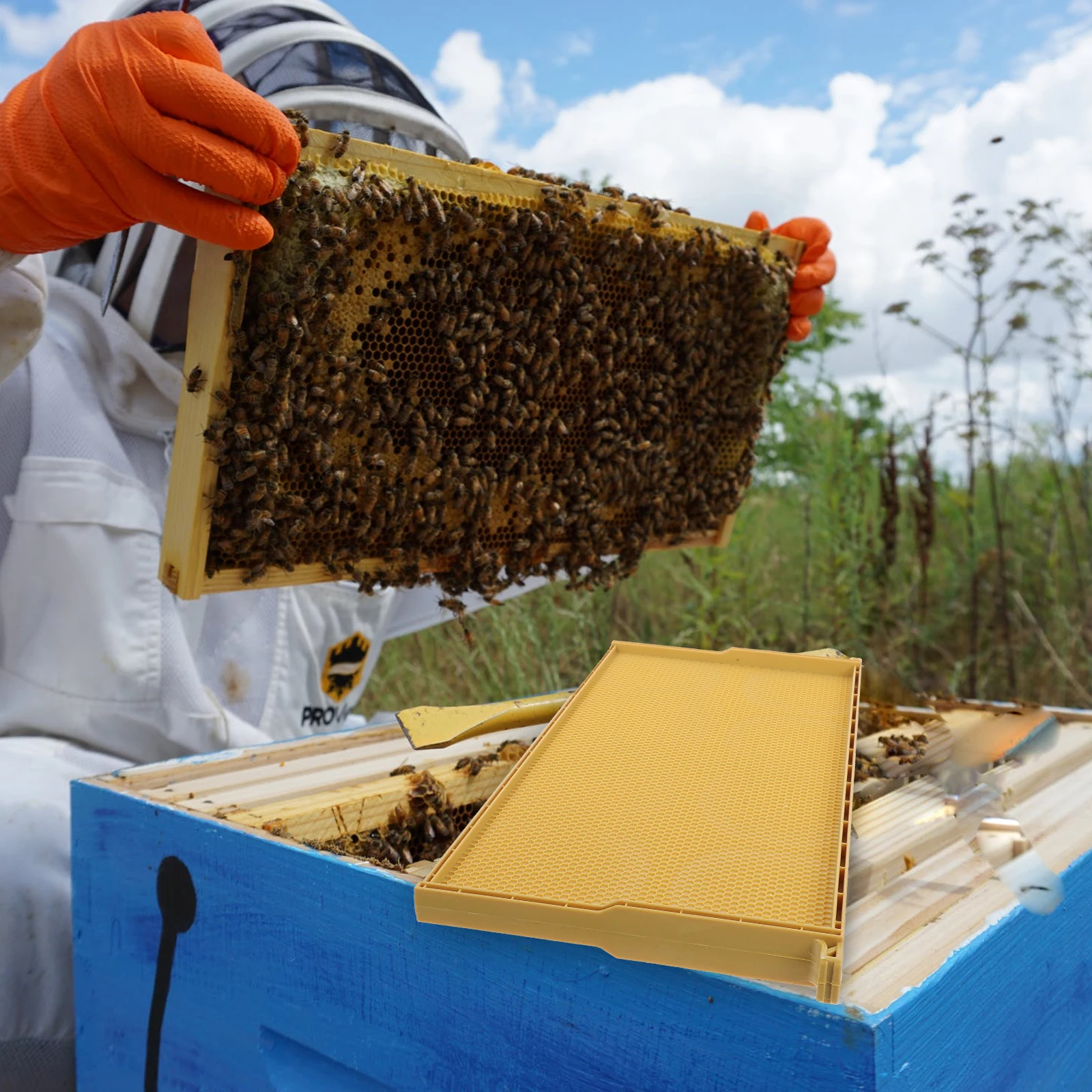 

Plastic Beehive Foundation Practical Tool for Beekeeping Healthy Material Increase Honey Production Nest Base Sheet Comb
