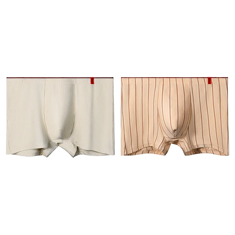 2 pezzi di biancheria intima da uomo in puro cotone. Questi sono boxer a righe alla moda, progettati per lo sport. Sono i pantaloncini da uomo adatti per