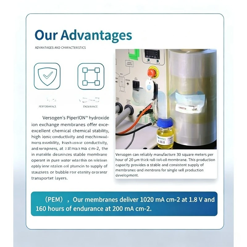 AEM Anion Exchange Membrane A80HCO3 A20 PAP-TP-85 for Water Electrolysis CO2 Reduction Reaction