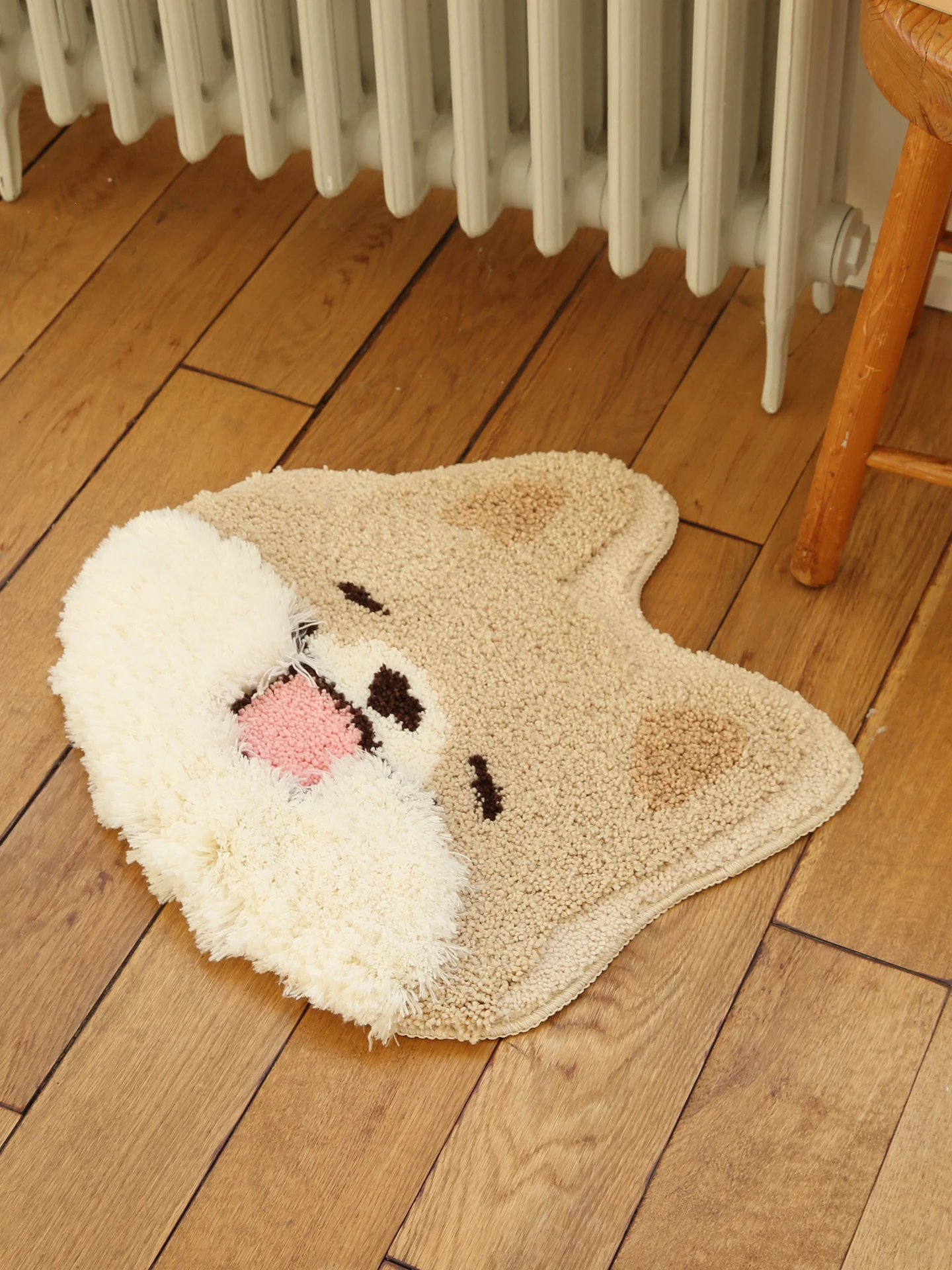 Cartoon Shiba Inu Plush Door Mat Bathroom Absorbent Quick Dry Non Slip Foot Mat Bedroom Entrance Cute Pad Decorative Carpet