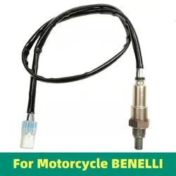 Motorcycle O2 Oxygen Sensor For BENELLI TNT135 TNT25N BN125 BJ125-3E TNT125 TNT150 BN150S 150S 180S / BN TNT 135 150s 180s