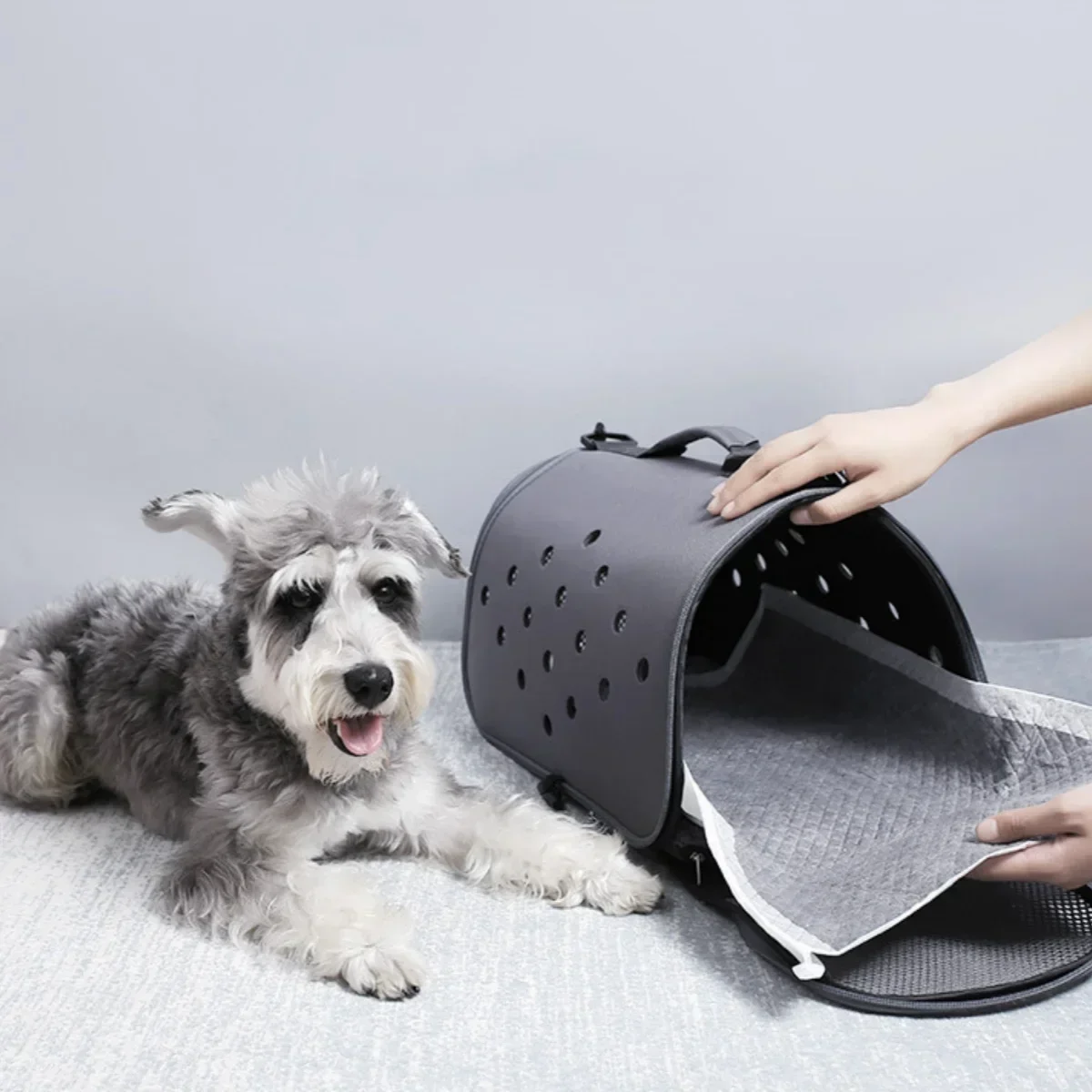 Thumbnail 2 - #27 Highest Rated Puppy Training to Buy in 2026