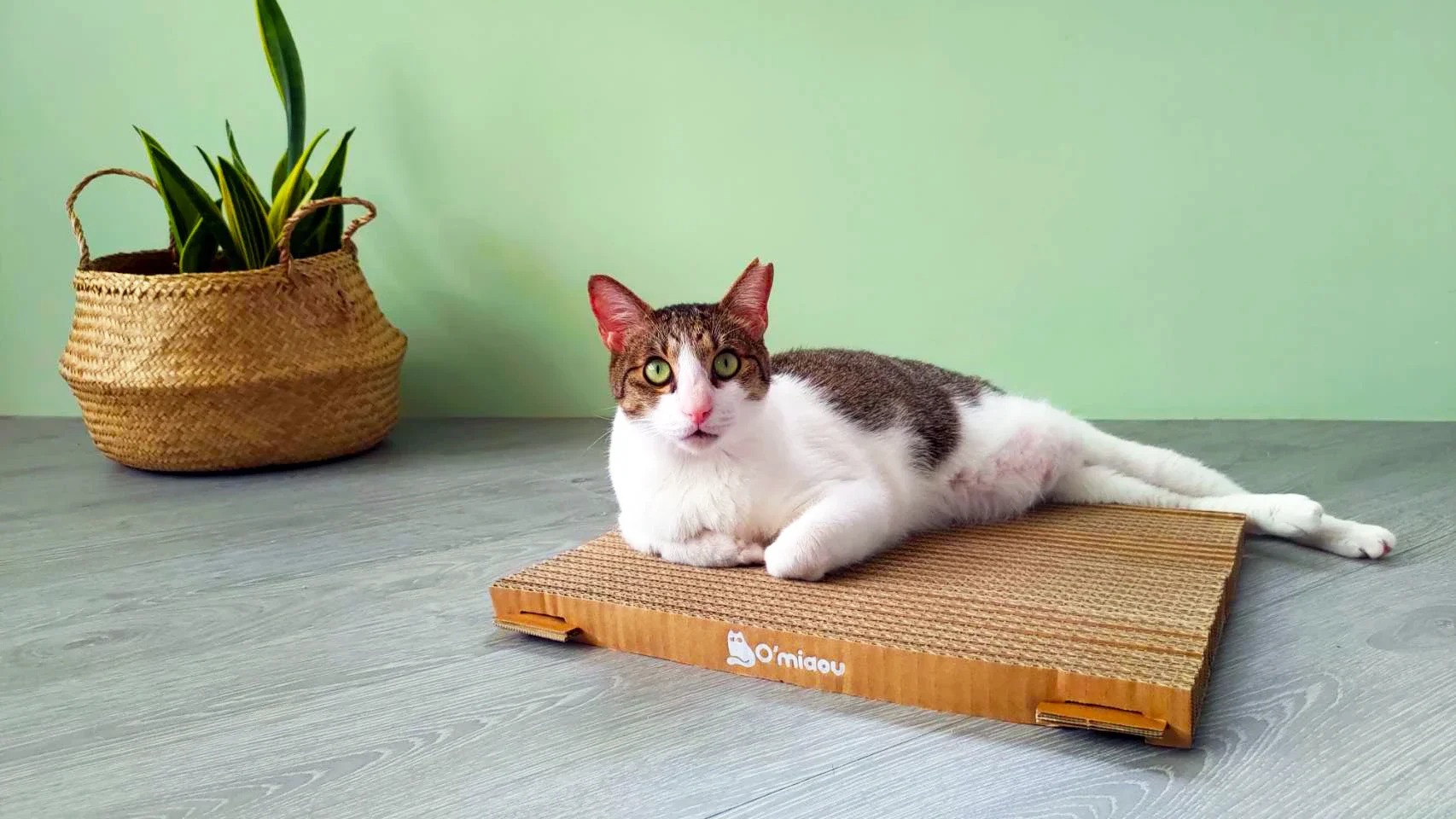 Comfortable corrugated cat scraper