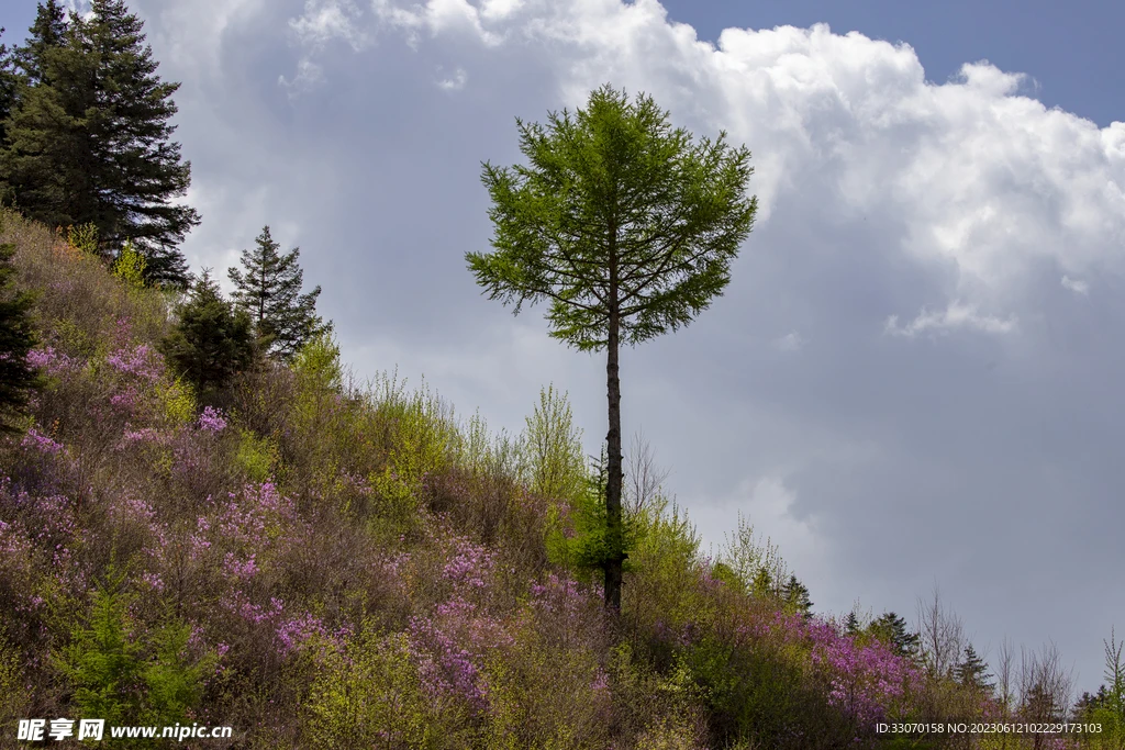

GEPRC TAKER F722 BLS 60A V2 Flight Stack | 4-in-1 60A ESC, 16MB Blackbox – Plug-and-Play for FPV Racing Drones