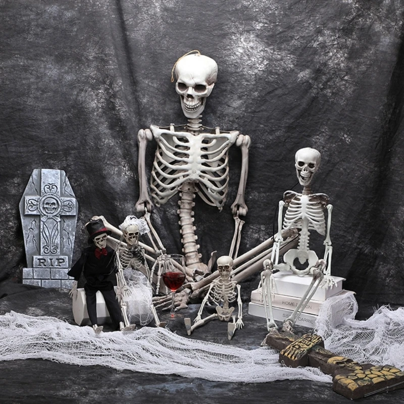 Szkielet całego ludzkiego ciała ruchomymi stawami Stylowa dekoracja na imprezę Halloween