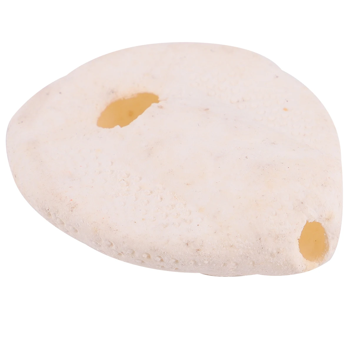 

6pcs Natural Sea Urchin Shells Wedding Decor Diy Craft Ornament For Balcony Garden Living Room Table Centerpiece