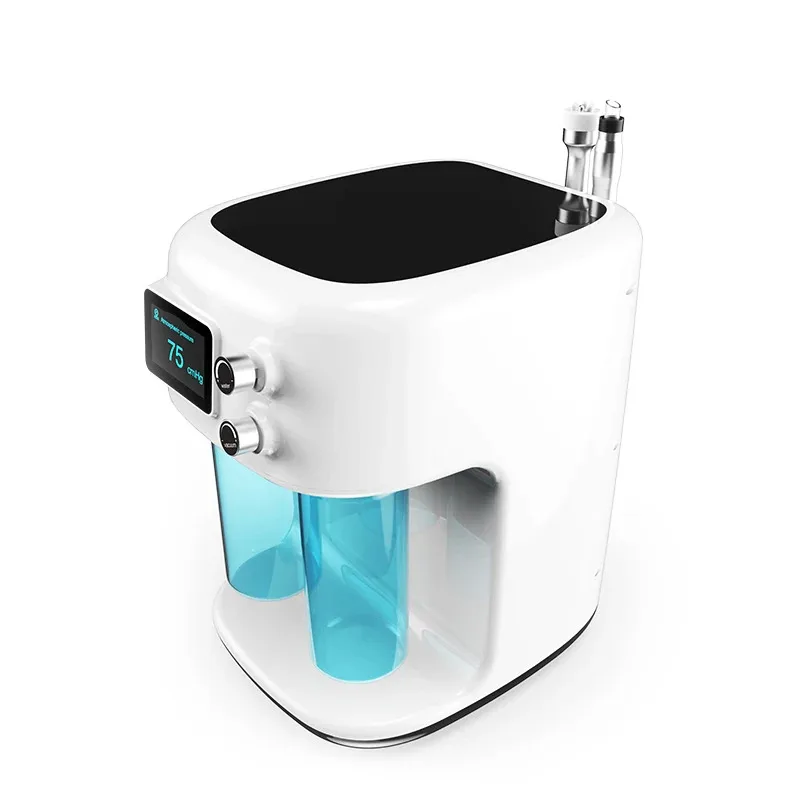 2026 Home use dermal infusion machine pure oxygen facial beauty machine oxygen generators