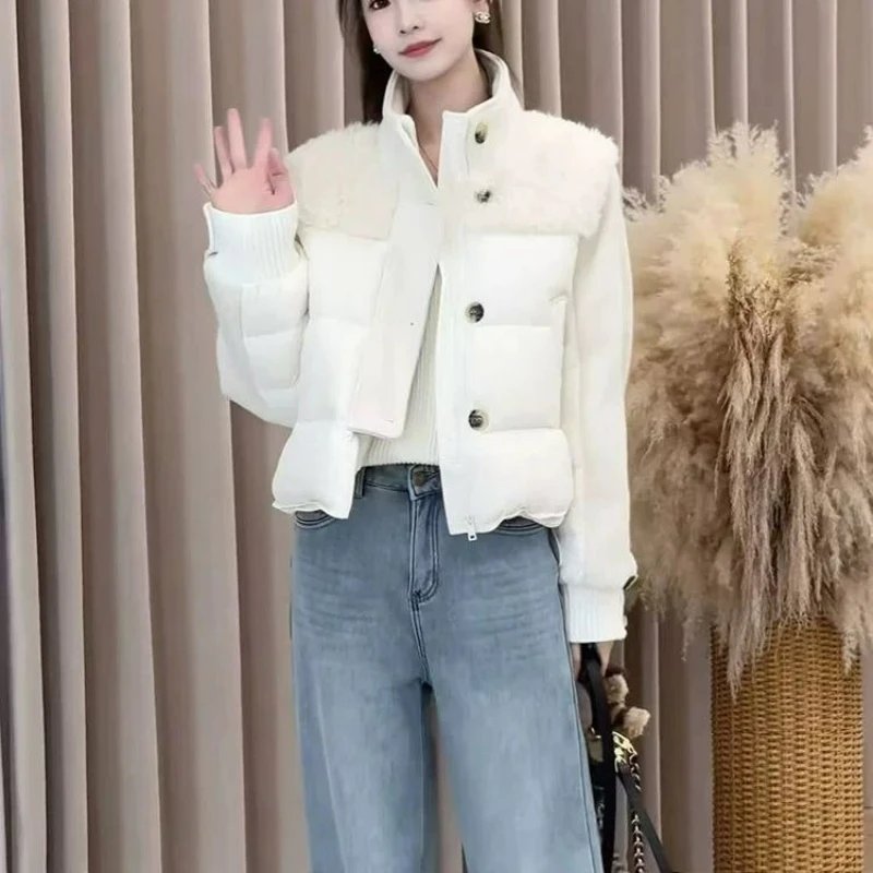 European American Style Fashionable Stand-up Collar Lambskin Patchwork Down Jacket for Women 2026 Winter Fashion Short Warm Coat