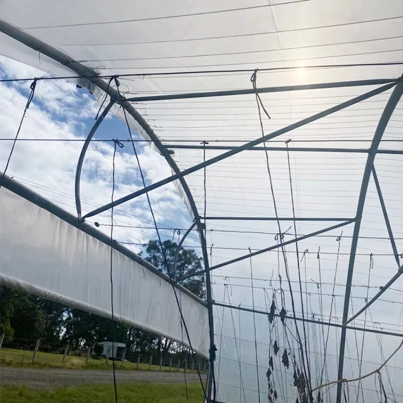 GT Spot Goods im Angebot Kostengünstiges kommerzielles Gewächshaus Landwirtschaftliches Tunnelgewächshaus für den Nahen Osten