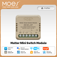 MOES Tuya WiFi Matter Mini Smart Switch Module Relay Timer Home Automation App Control Alexa Google Home Apple