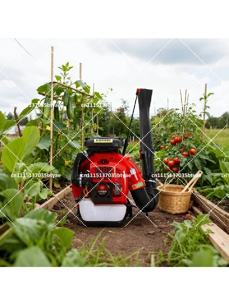 2 Stroke Backpack Blower High Power Leaf Snow Blower Machine for Park Road Dust Removal