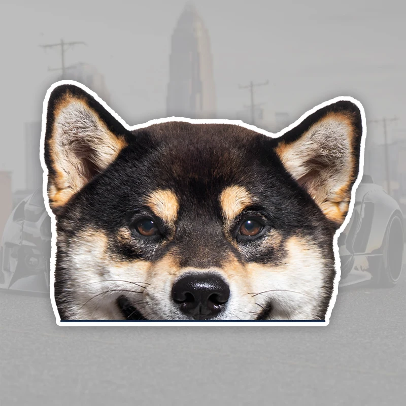 15x11cm Peeking Black Shiba Inu Car Stickers Funny Creative Waterproof Vinyl Decal Motorcycle Decorative Accessories