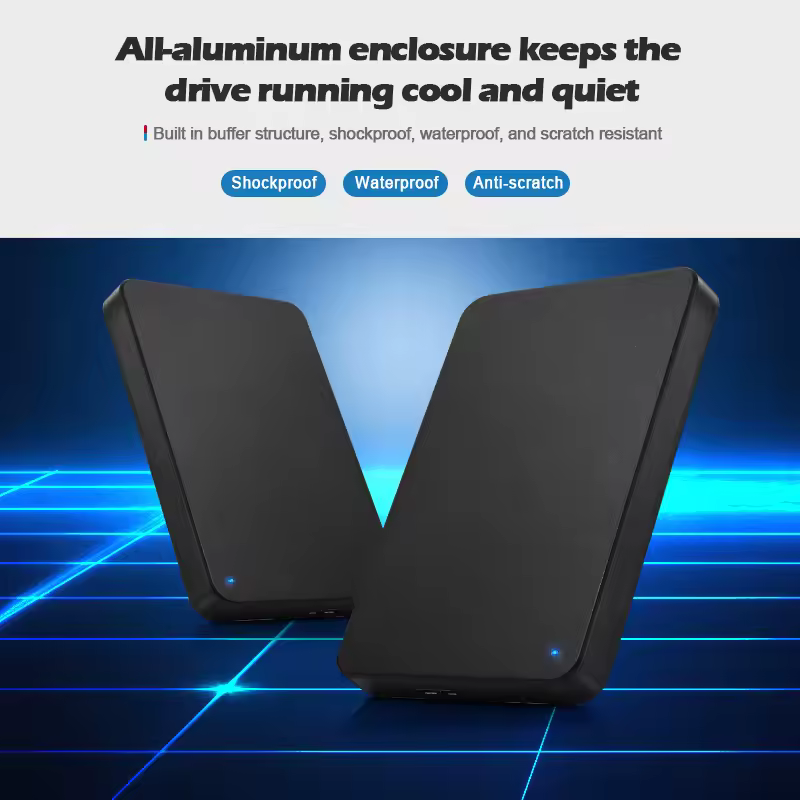 외장 하드 드라이브