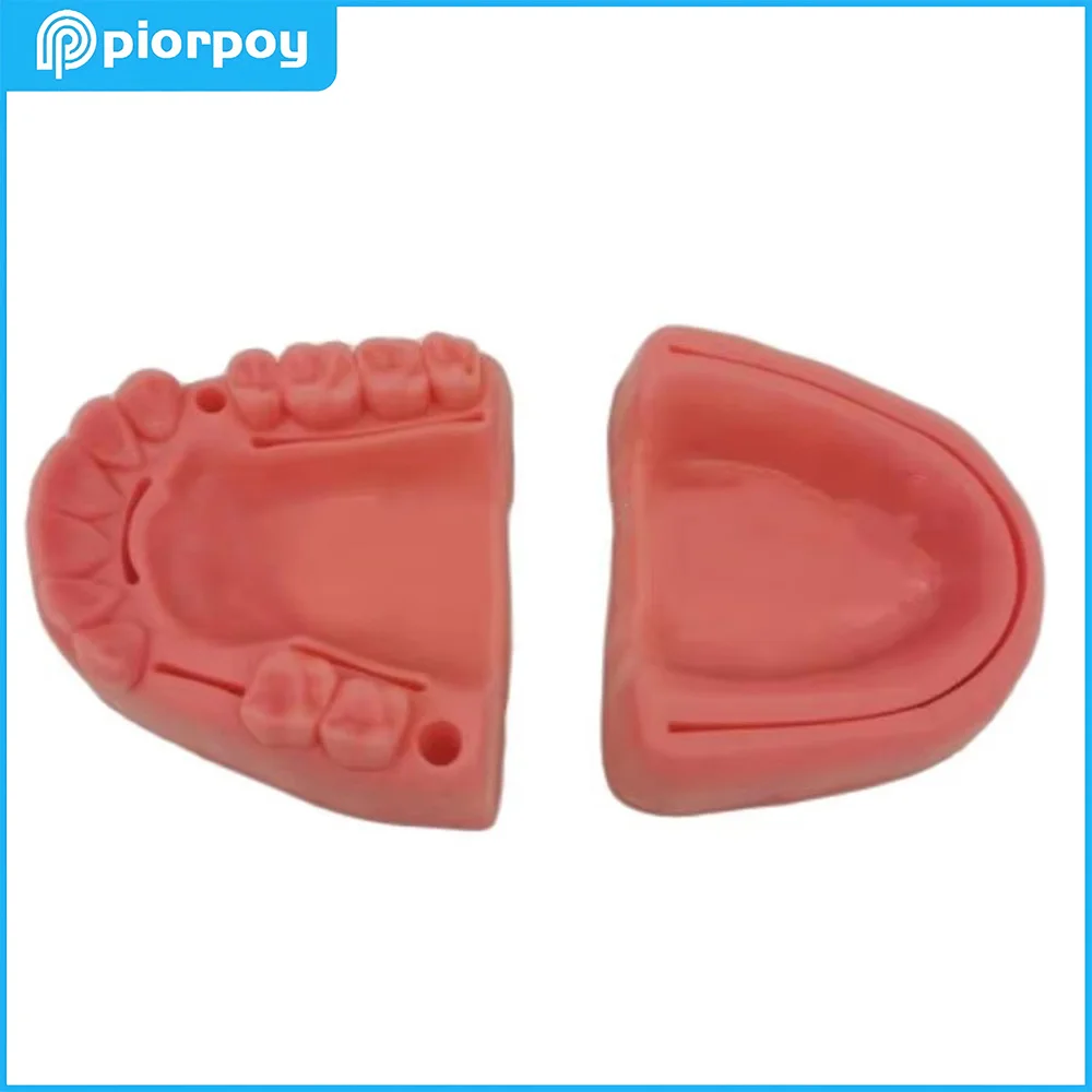 

Стоматологическая обучающая модель, шовная практика, студенческие обучающие обучающие модели зубов для стоматолога, демонстрационная смола, аксессуары для стоматологии