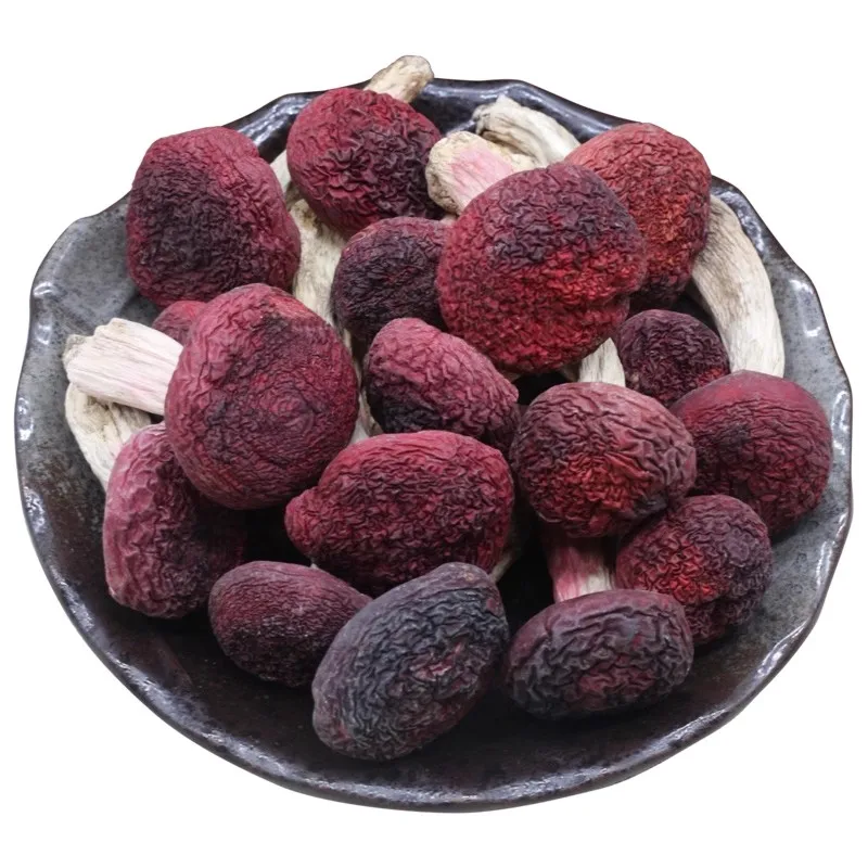 

Natural China Yunnan Various Special Grade Wild Mushroom Russula Dried Mushroom Usd for DIY Resin Raw Material Photography Props