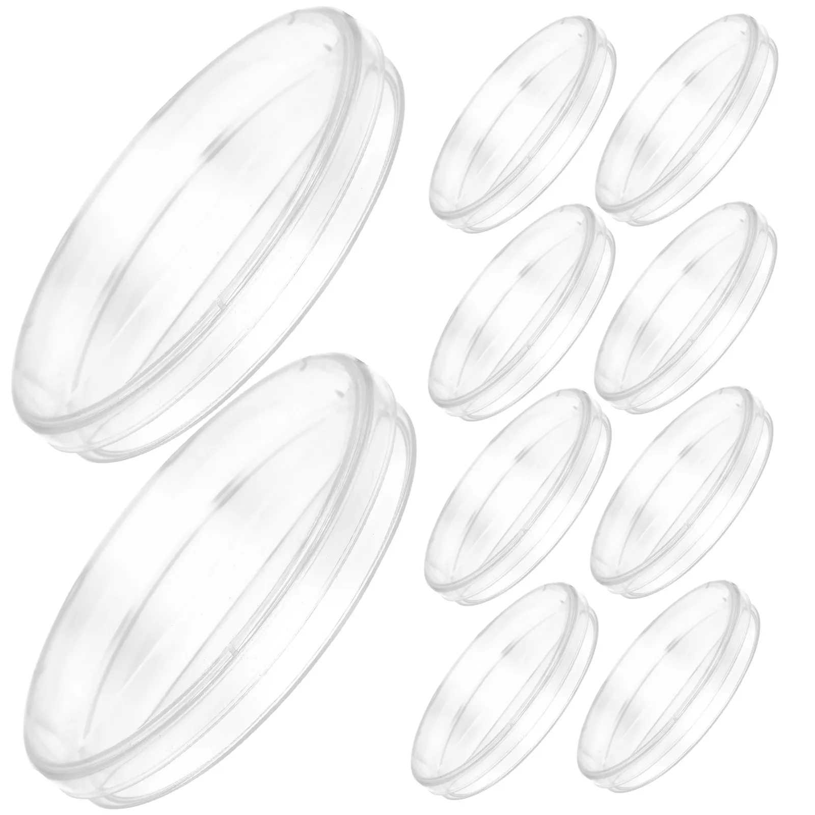 10Pcs Compartmented Petri Dishes Plastic with Lid for School Science Lab Research Culture Dish Agar Plates Biology Botany