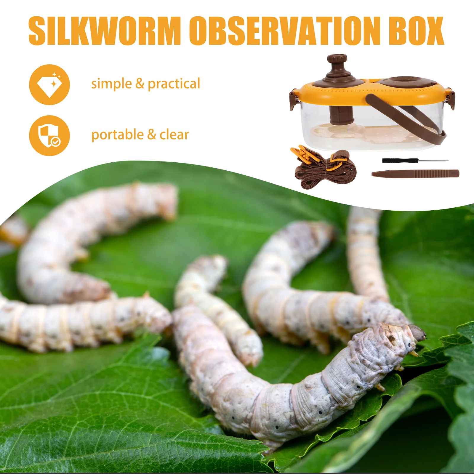 1Set Silkworm Observation Box Kit LED Light Magnifier Insect Container Kids Science Kit Tool Silkworm Viewer
