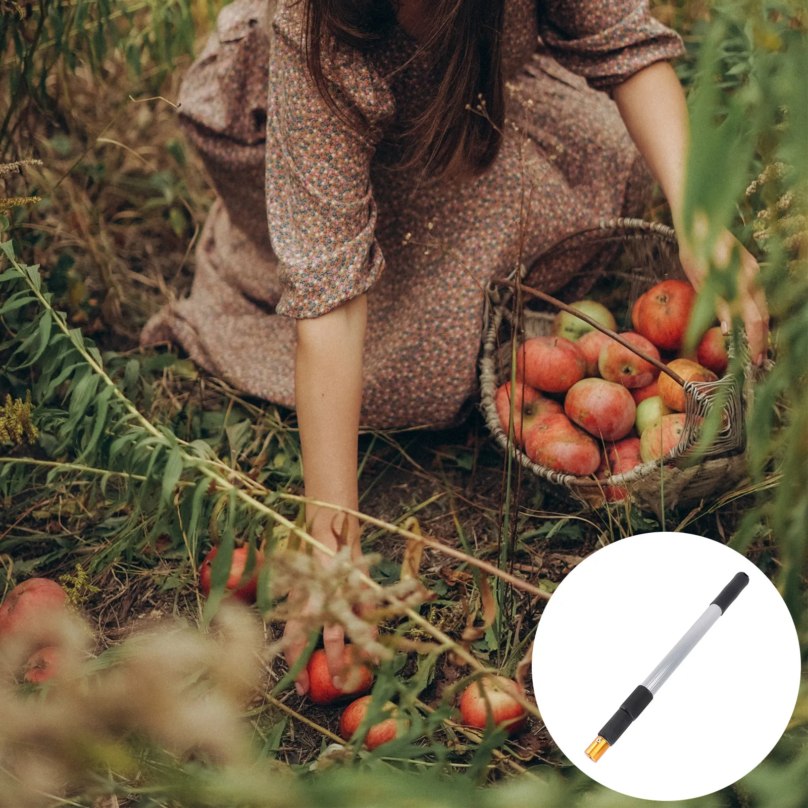 1Pcs Telescopic Nut Gatherer Adjustable Length Aluminum Alloy Roller Brush Extension Rod Outdoor Tool Nut Collector Portable