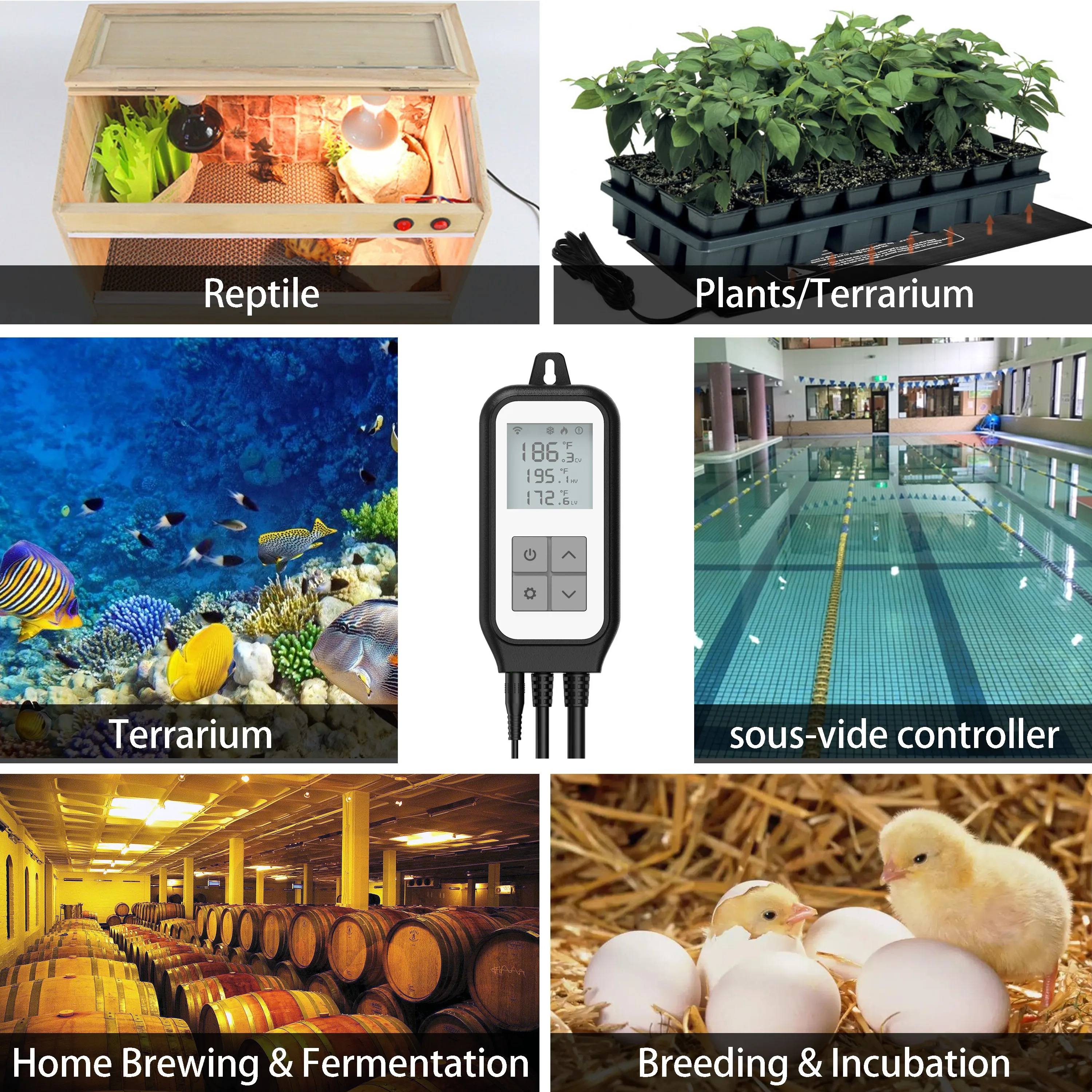 Termostato Wifi Smart Temperature Controller Tuya Smart Life Control riscaldamento raffreddamento digitale per la produzione di serre acquario