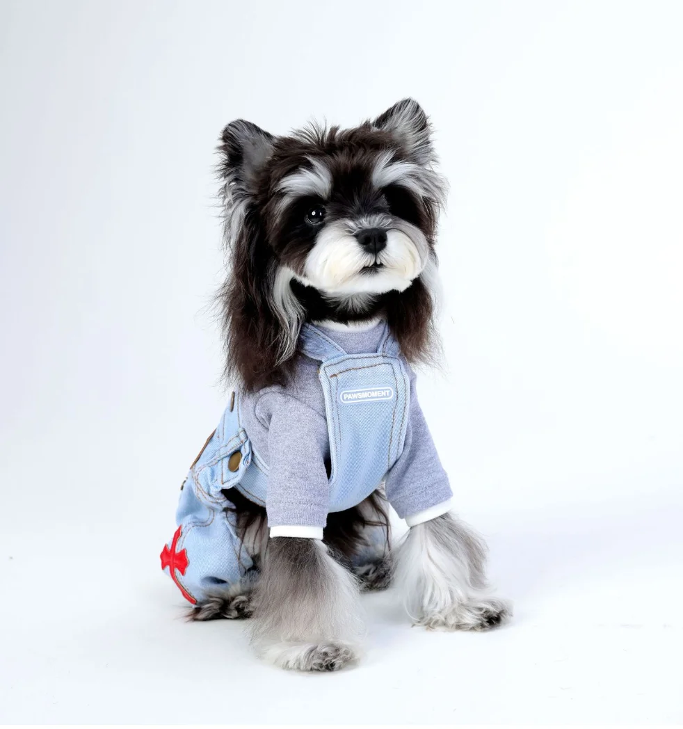 

High Excellent Quality Trendy Fashionable Pet Waistcoat Pants Brand Dog Jeans Cool