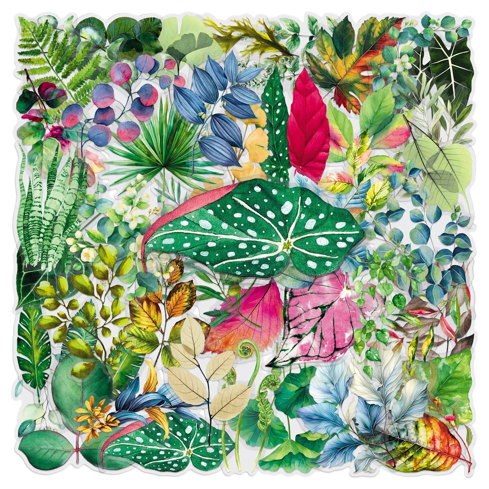 

10/30/50PCS Exquisite pieces of transparent leaf Graffiti stickers for Water Cup Phone Computer Notebook Stationery Luggage