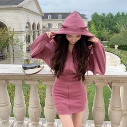 Korean Fashion Cat Ear Hooded Hoodie Dress Women Autumn Winter Long Sleeve Mini Dress Kawaii Bodycon Party Dress Vestidos