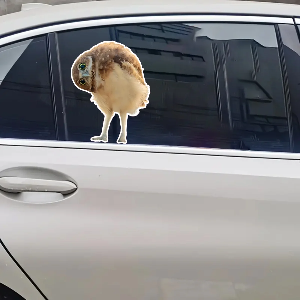 1 шт.-20x16 см Сова животное личность граффити креативные наклейки на шлем скейтборд украшение для мобильного телефона J-423