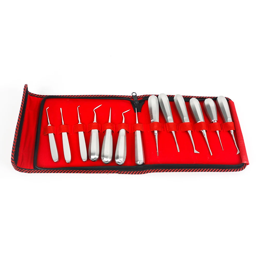 13Pcs/kit Stainless Steel Dental Oral Surgery Root Elevators Set Tooth Extraction Surgical Instruments Dental Tool