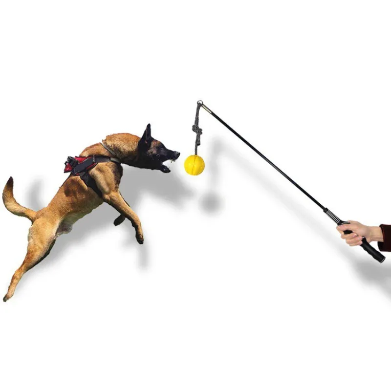 

Interactive Dog Flirt Pole with Leather Bite Rag and Ball Puppy Teething Chew Toys for K9 Training Small Large Dogs Outdoor Play