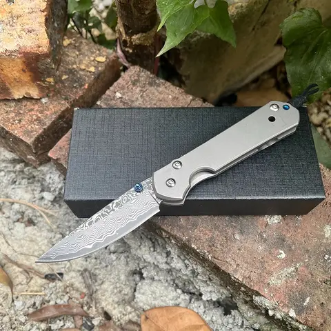 Survival Damascus Steel Hunting Folding Knife TC4 Titanium Alloy Handle D2 Blade Outdoor Camping Tactical Jackknife with Clip