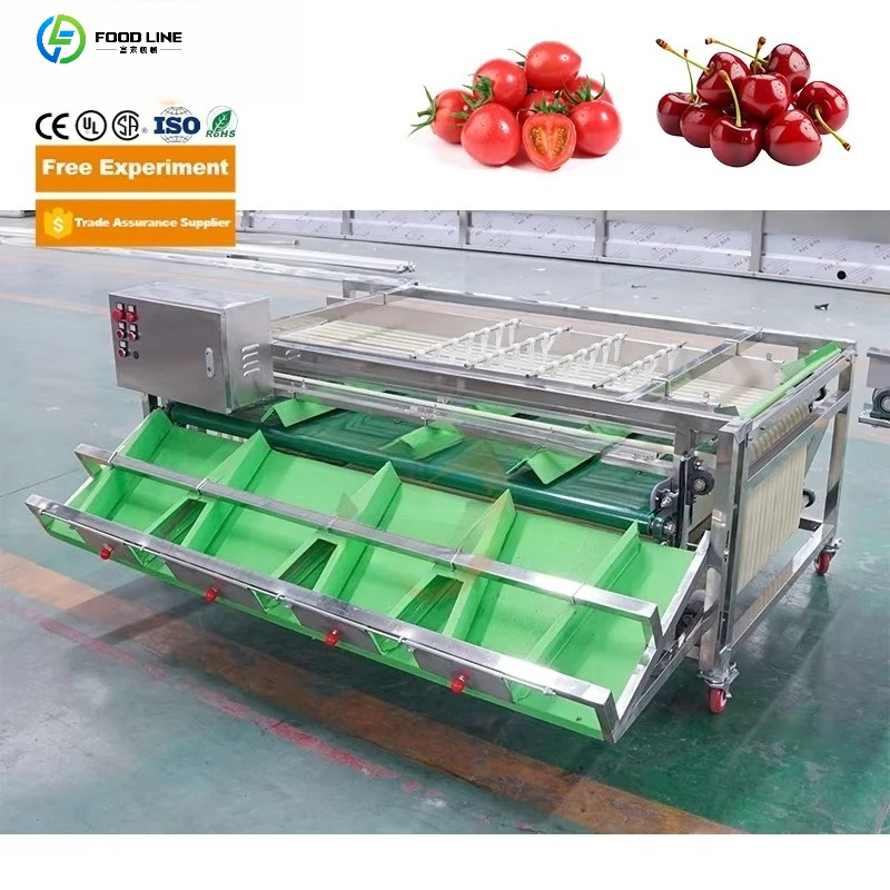 Automatic Fruit Avocado  Potato Tomatoes Dates Mango Garlic Grading Machine Vegetable Sorter Sorting Machine Support Customized