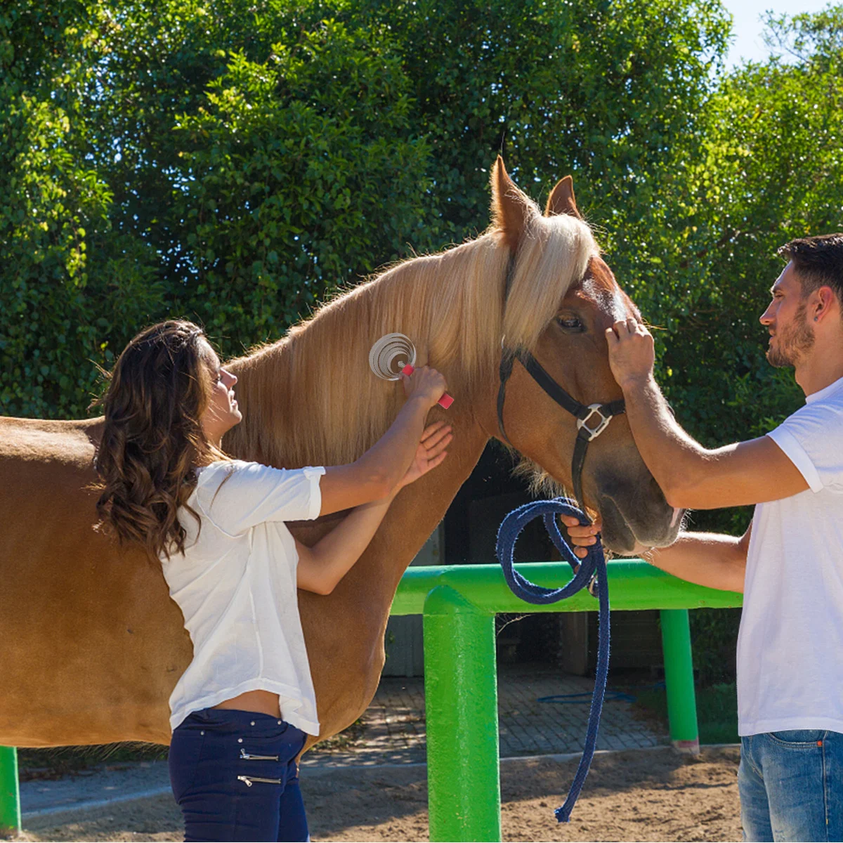 مشط مستلزمات الحيوانات الأليفة للماشية عالي الجودة من الفولاذ المقاوم للصدأ سهل التنظيف يزيل تساقط التربة المزودة بمقبض مريح ومضاد للانزلاق