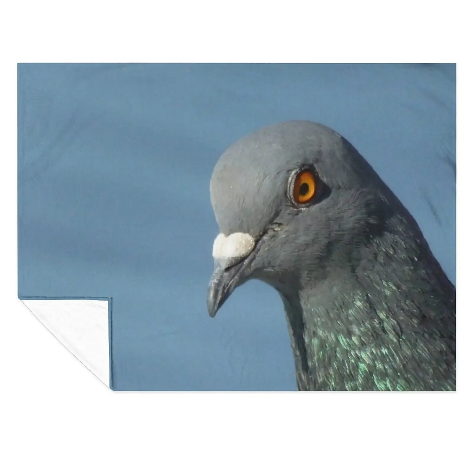 

Pigeon Close Up Photography Throw Blanket heavy to sleep Warm Soft Big Comforter Blankets