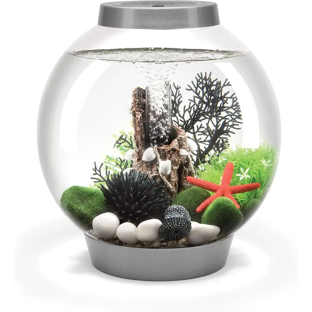 

Classic 15 Acrylic 4-Gallon Aquarium with White LED Lights ern Compact Tank or Tabletop or Desktop Display, Silver-Trimmed Tank