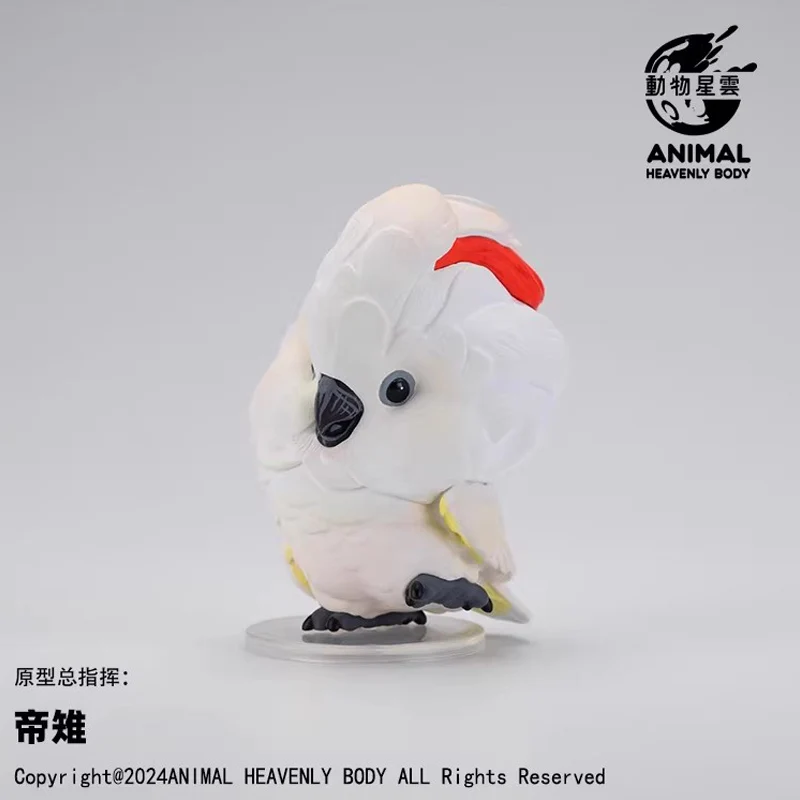 A Series of Laugh and Grow Fat Series Parrot Blind Box Animals Birds Crafts statue Cute Anime Figure Collectible Model Toys Gift