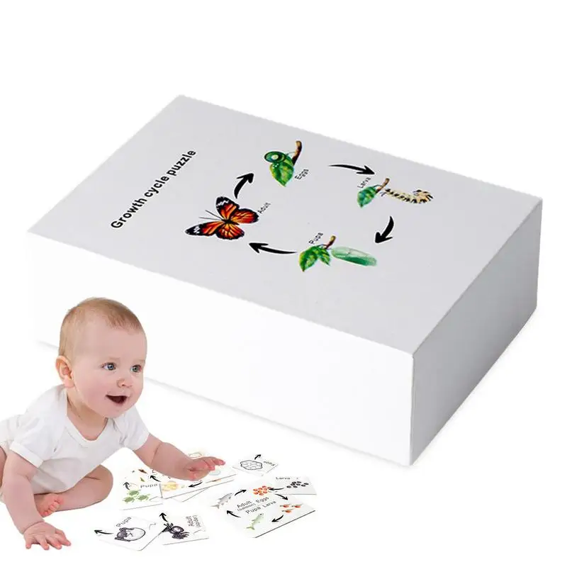 

Preschool Science Toys Funny Preschool Science Kit Learning Toys Educational Tool Interactive Puzzle Games For Kids Aged 3-6