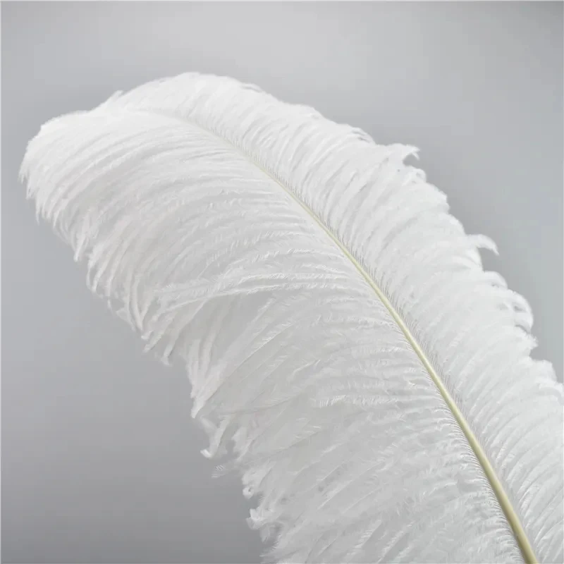 

White Ostrich Feathers 15-60cm/8-24" Big Feather for Crafts Wedding Carnival Decoration Ostrich Plumes Table Centerpieces