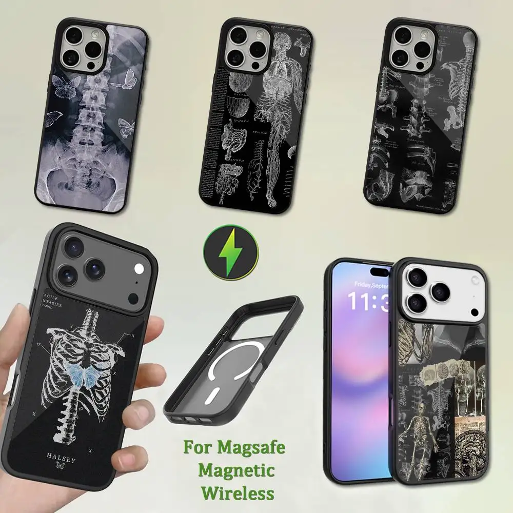 

Human Organs Art Skeleton Case For iPhone 13,12,11,16,15,17,14,Pro,Max,Plus,Mini, With Magsafe,Magnetic Wireless Charging