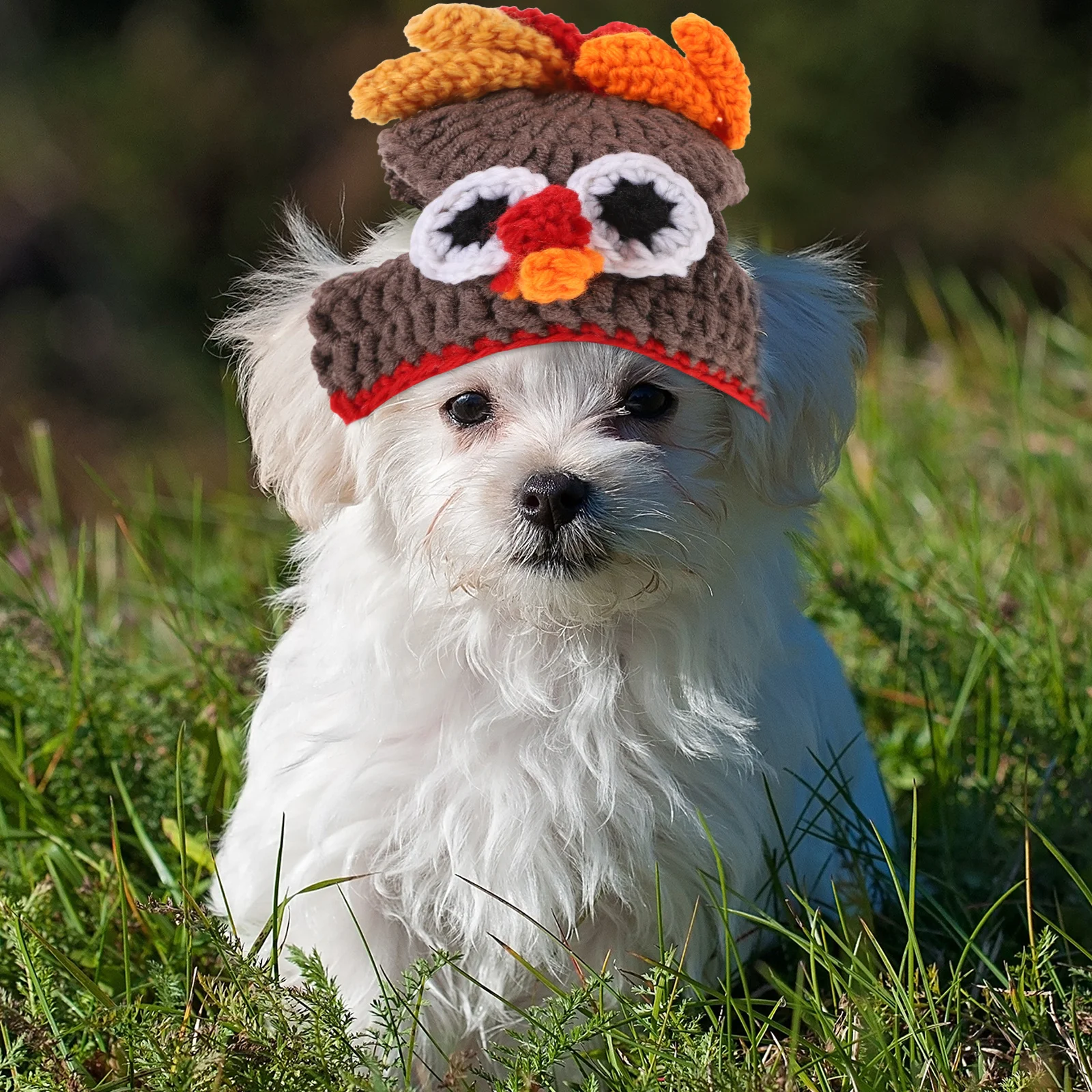 

1Pcs Pet Turkey Hat Knitted Handmade Cosplay Headpiece for Dogs Cats Soft Comfortable Holiday Party Costume Accessory 30-35Cm