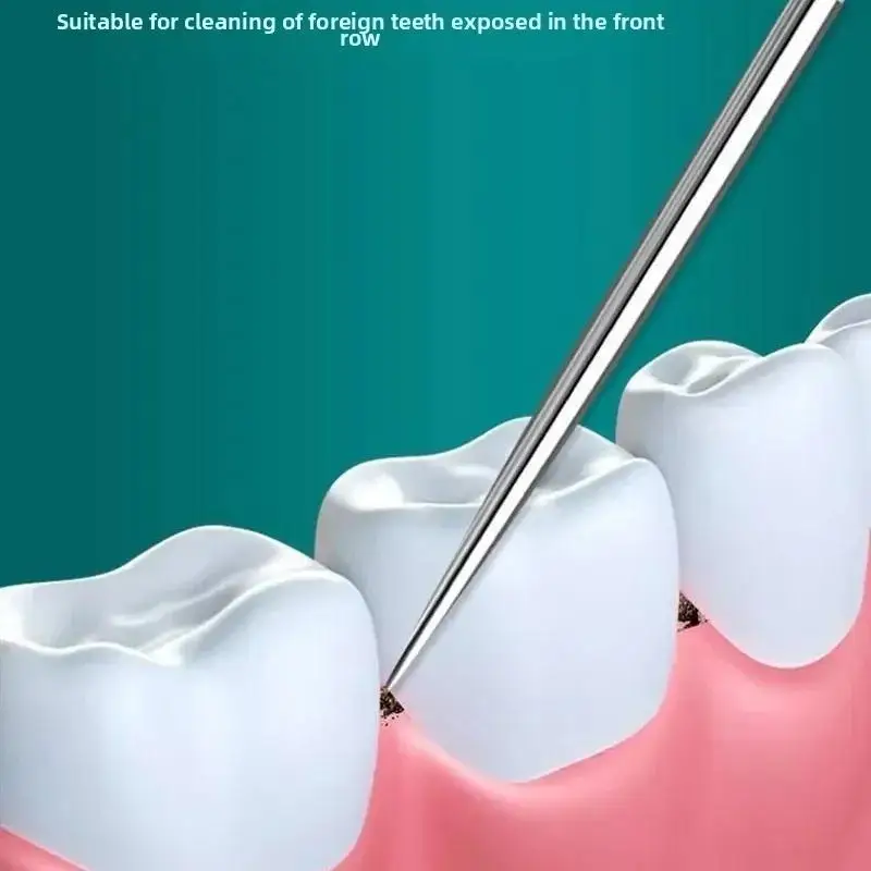 Stainless Steel Toothpick Set Tooth Flossing Reusable Toothpicks Portable Toothpick Floss Teeth Cleaner Oral Cleaning.'..